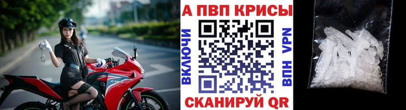 A PVP СК КРИС  Гусиноозёрск 