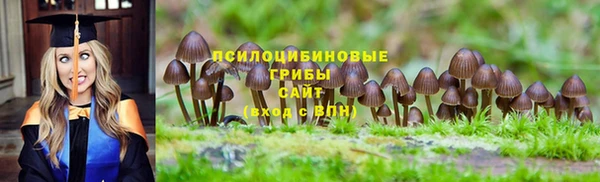 MDMA Premium VHQ Бронницы