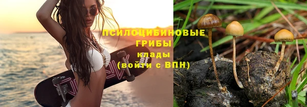 MDMA Premium VHQ Бронницы